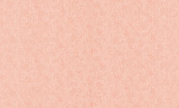 MaxWall 159022-04