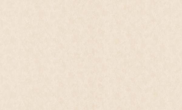 MaxWall 159023-03
