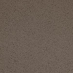 Glassy 218316