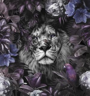 Lion violet 24-112